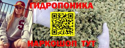 spice Пенза