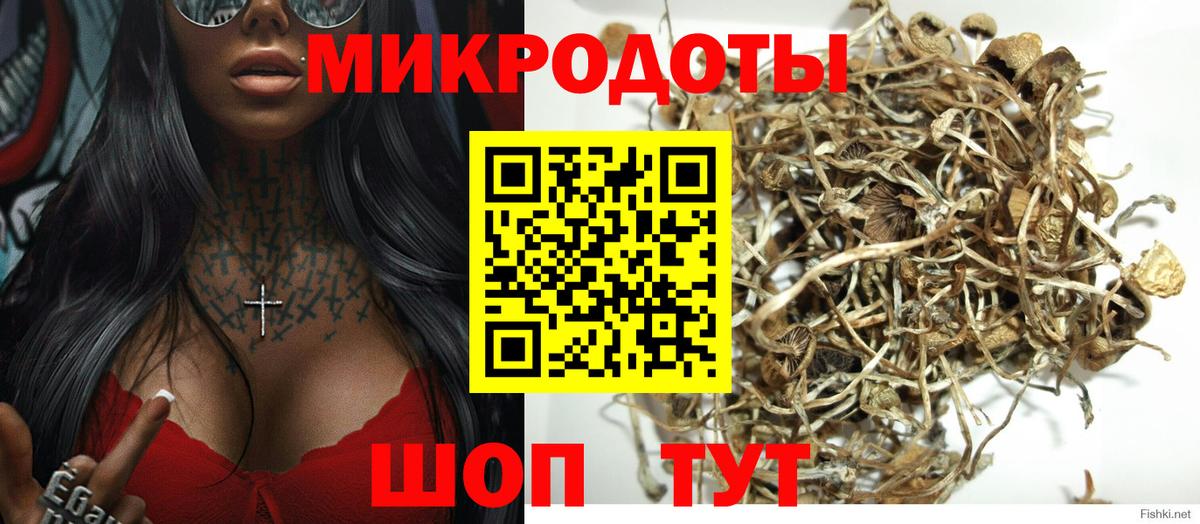 Галлюциногенные грибы GOLDEN TEACHER  Вход с VPN  Сертолово  Псилоцибиновые грибы Psilocybe 